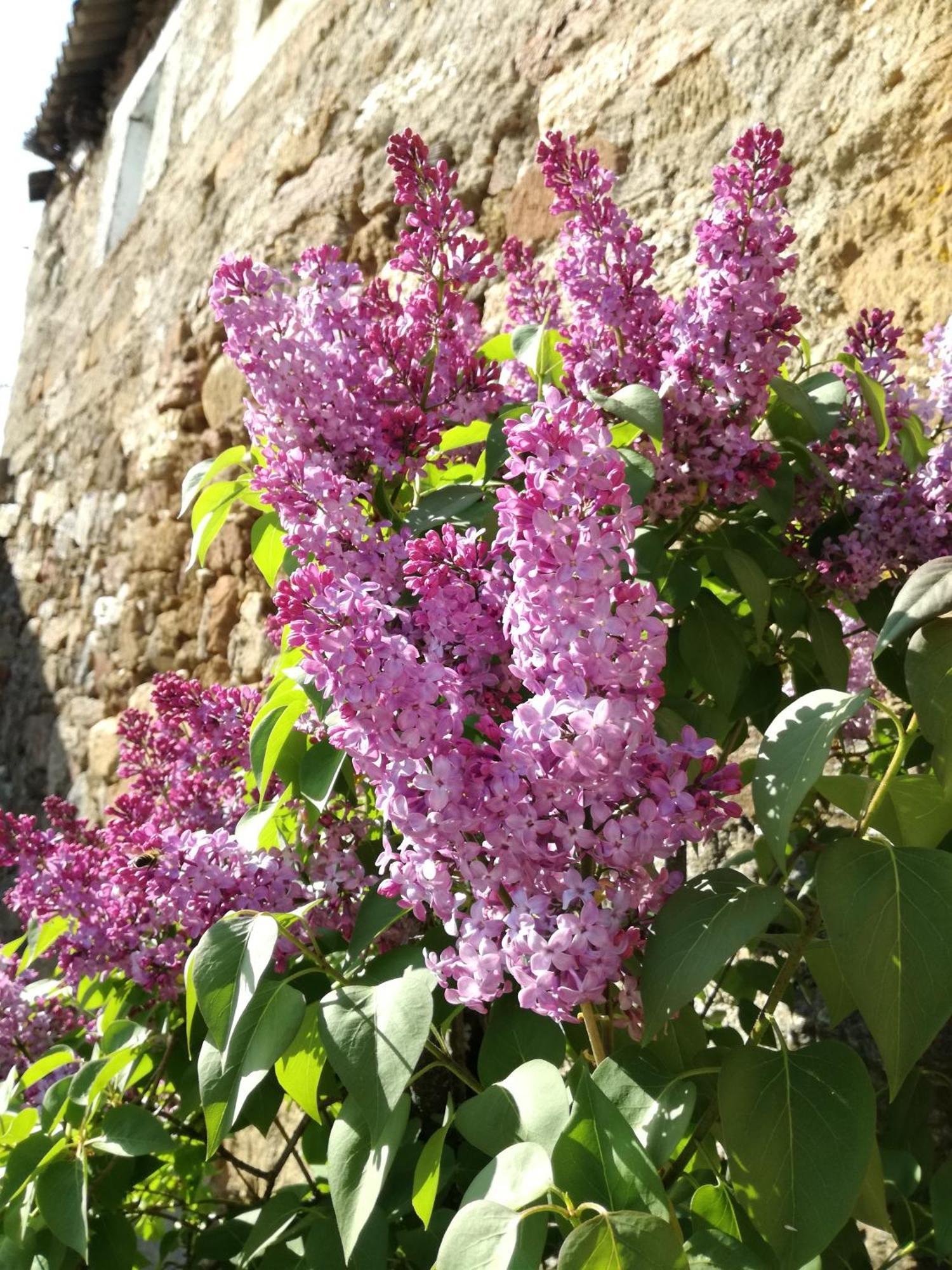 La Posada De Pedrazales Zewnętrze zdjęcie