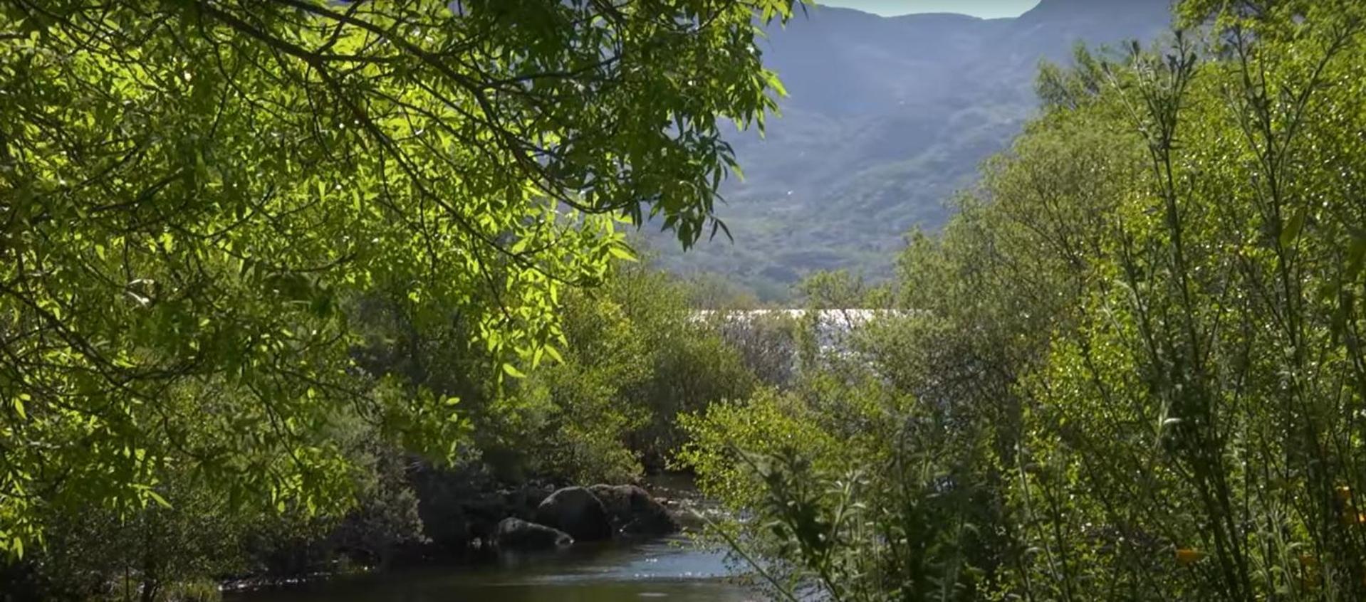 La Posada De Pedrazales Zewnętrze zdjęcie