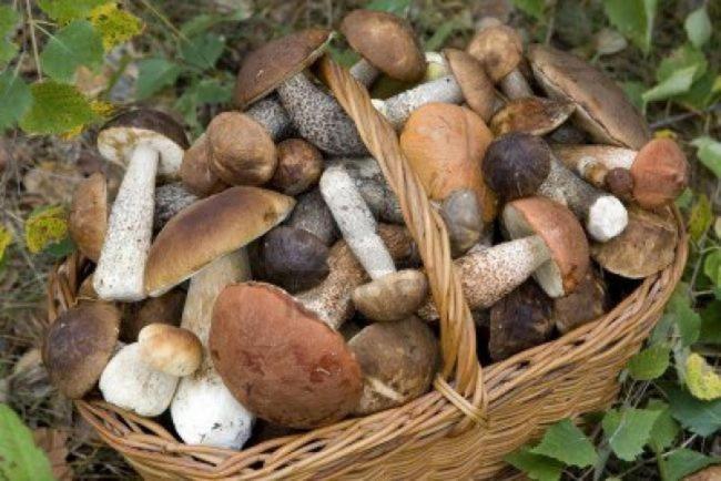 La Posada De Pedrazales Zewnętrze zdjęcie